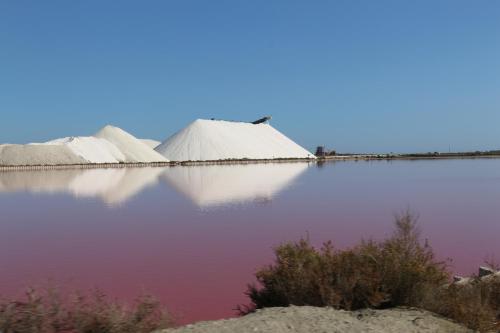 Imagen general del Hotel Fasthotel Nimes Ouest Lunel. Foto 6