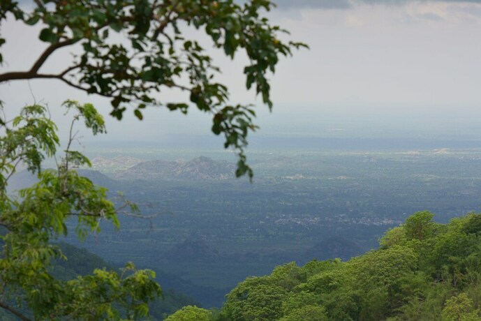 Imagen general del Hotel Fateh Safari Resort by Fateh Collection. Foto 14