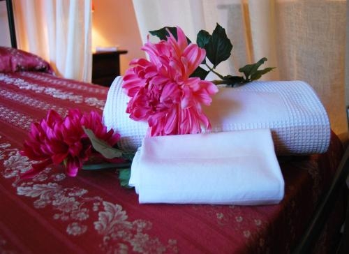 Imagen general del Hotel Fattoria Il Borghetto. Foto 5