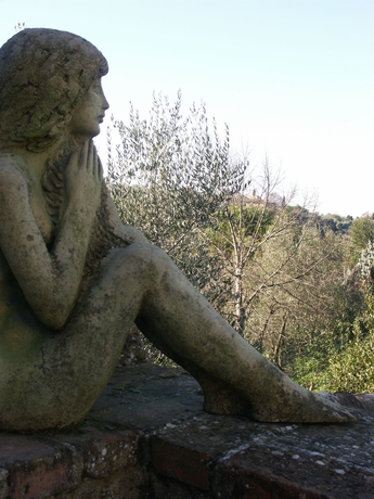 Imagen general del Hotel Fattoria Il Milione Agriturismo. Foto 3