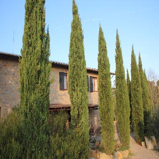 Imagen general del Hotel Fattoria di Corsignano, Castelnuovo Berardenga. Foto 12