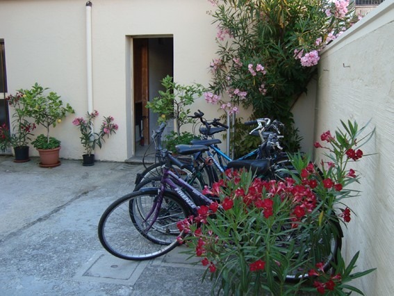 Imagen de los exteriores del Hotel Fausta Igea Marina. Foto 6