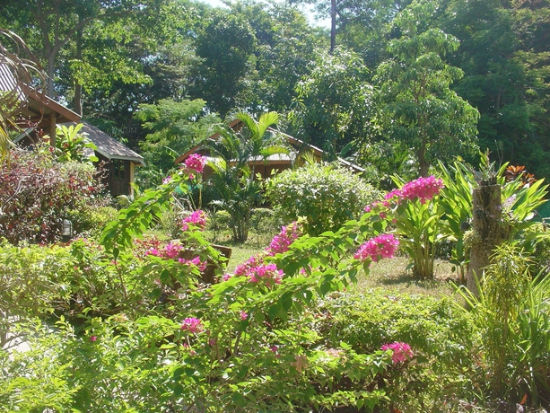 Imagen de los exteriores del Hotel Faye Orchid Resort. Foto 8