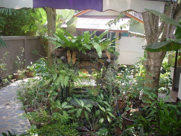 Imagen de los exteriores del Hotel Faye Orchid Resort. Foto 12