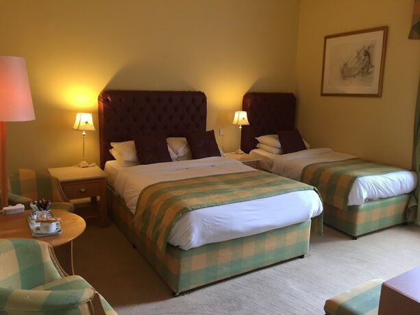 Imagen de la habitación del Hotel Faythe Guesthouse. Foto 19