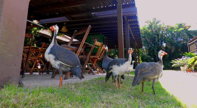 Imagen general del Hotel Fazenda Bosques do Massagua&ccedil;u. Foto 4