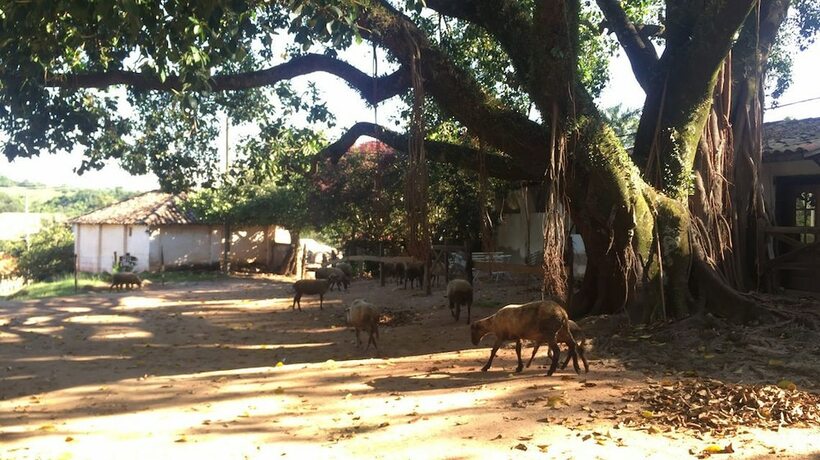 Imagen general del Hotel Fazenda Cana Verde. Foto 7