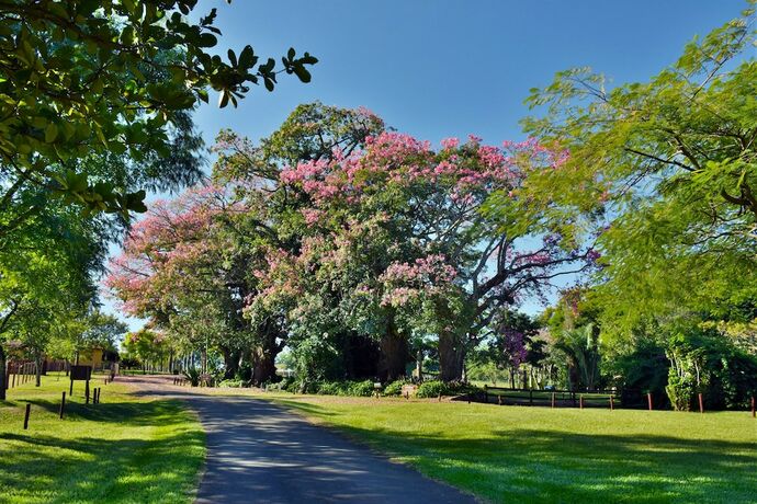 Imagen general del Hotel Fazenda Jaca&uacute;na. Foto 9