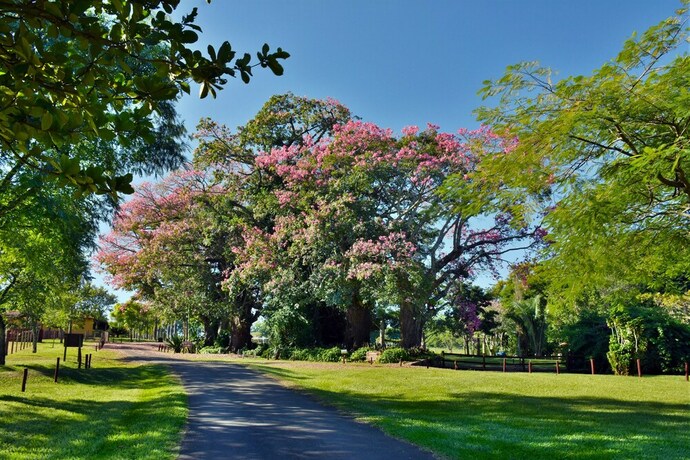 Imagen de los exteriores del Hotel Fazenda Jaca&uacute;na. Foto 34