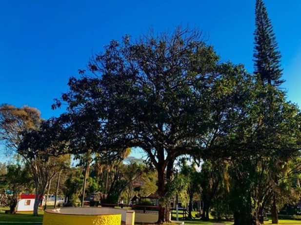 Imagen del bar/restaurante del Hotel Fazenda M1. Foto 4