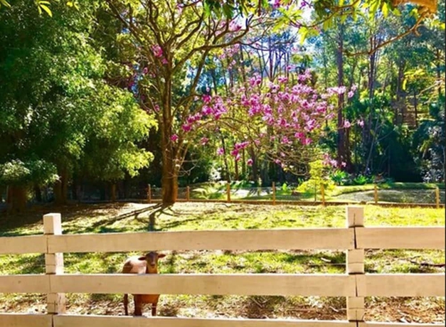 Imagen del bar/restaurante del Hotel Fazenda M1. Foto 5