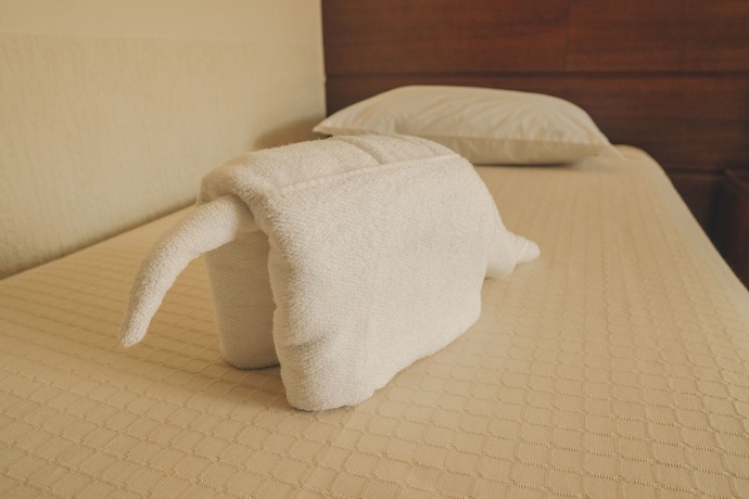 Imagen de la habitación del Hotel Fazenda Ramon. Foto 16