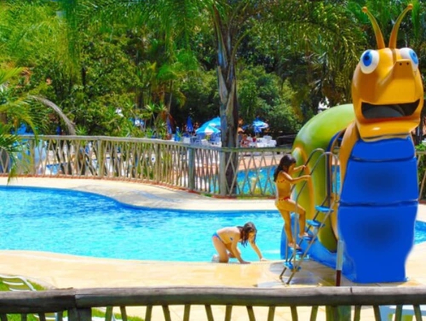 Imagen de la piscina del Hotel Fazenda Sao Jo&atilde;o. Foto 12