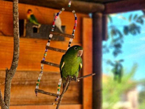 Imagen general del Hotel Fazenda Villa Vitta. Foto 14