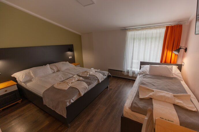 Imagen de la habitación del Hotel Feh&eacute;r Sas Panzi&oacute; &eacute;s &Eacute;tterem. Foto 18