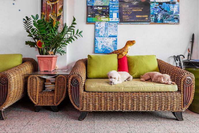 Imagen de los interiores del Hotel Fei Li Jin. Foto 18