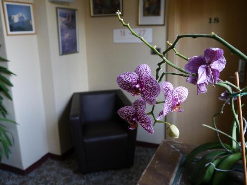Imagen general del Hotel Feichter, Bolzano. Foto 6