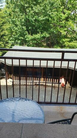 Imagen general del Hotel Felicia, Kaluža. Foto 58