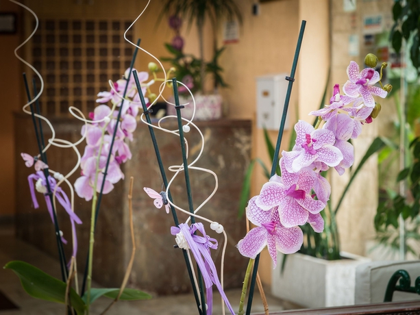 Imagen de los interiores del Hotel Felipe Ii, Peñíscola. Foto 15