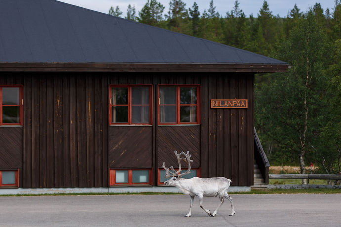 Imagen de los exteriores del Hotel Fell Centre Kiilopää, Niilanpää. Foto 12
