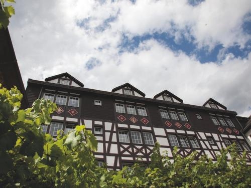 Imagen general del Hotel Felsenkeller, R&uuml;desheim am Rhein. Foto 3