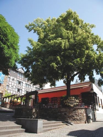 Imagen general del Hotel Felsenkeller, R&uuml;desheim am Rhein. Foto 4