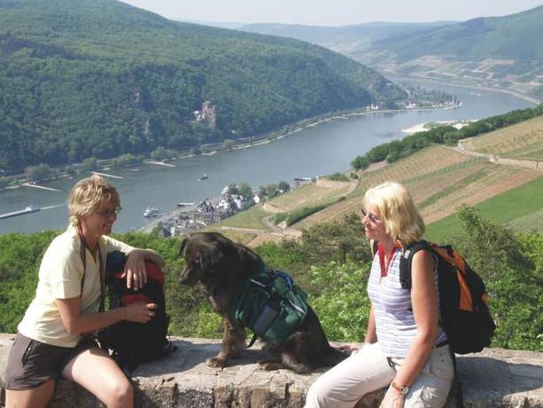 Imagen de los interiores del Hotel Felsenkeller, R&uuml;desheim am Rhein. Foto 18