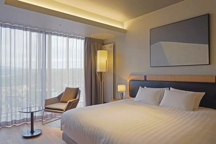Imagen de la habitación del Hotel Fenix Furano. Foto 17