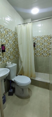 Imagen de la habitación del Hotel Fenix, Taskent. Foto 18