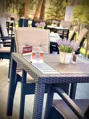 Imagen general del Hotel Fenyves Konferencia &eacute;s Wellness. Foto 13