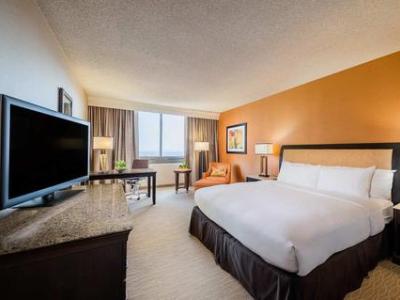 Imagen de la habitación del Hotel Fera Anaheim, A Doubletree By Hilton. Foto 6