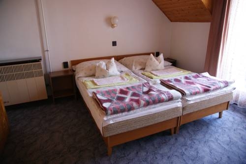 Imagen general del Hotel Ferenc Vendegh&aacute;z. Foto 8
