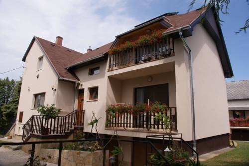 Imagen general del Hotel Ferenc Vendegh&aacute;z. Foto 12