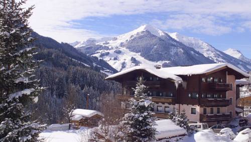 Imagen general del Hotel Ferienanlage Altachhof. Foto 1