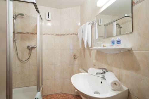 Imagen de la habitación del Hotel Ferienanlage Altachhof. Foto 15