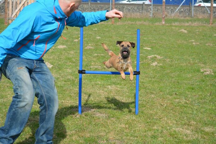 Imagen general del Hotel Feriendorf Oberreit. Foto 11