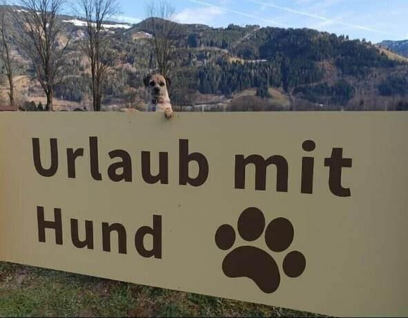 Imagen general del Hotel Feriendorf Oberreit. Foto 14