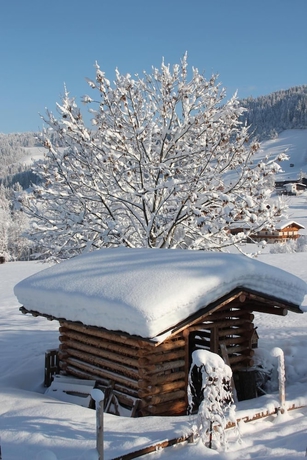 Imagen de los exteriores del Hotel Feriendorf Wildschönau. Foto 14