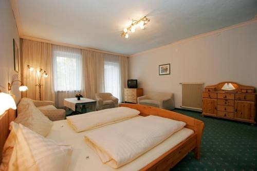 Imagen general del Hotel Ferienhotel Alber. Foto 5