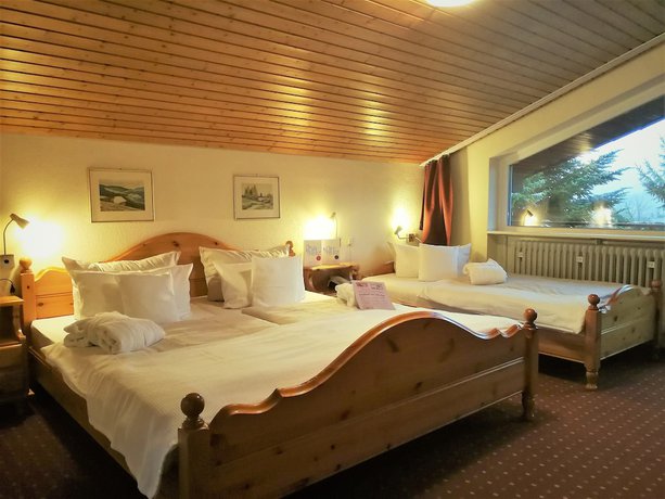Imagen de la habitación del Hotel Ferienhotel Schwarzw&auml;lder Hof. Foto 4