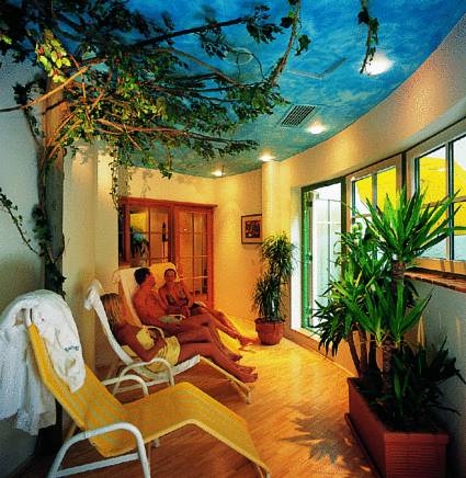 Imagen general del Hotel Ferienparadies Lerch. Foto 16