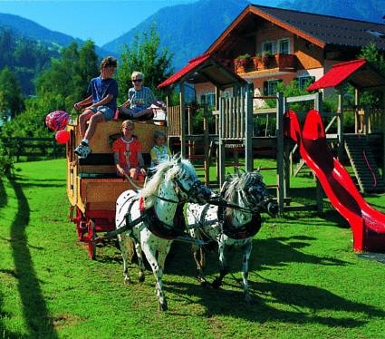 Imagen general del Hotel Ferienparadies Lerch. Foto 20