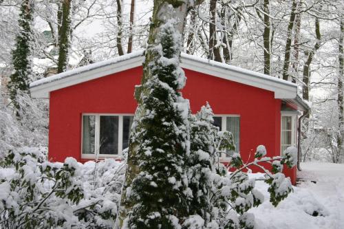 Imagen de los interiores del Hotel Ferienresort Damerow. Foto 5