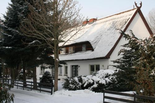 Imagen de los interiores del Hotel Ferienresort Damerow. Foto 6