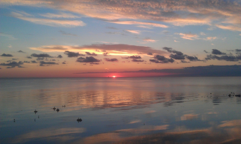 Imagen de los exteriores del Hotel Feriestedet Nordliv. Foto 8