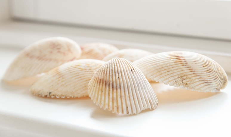 Imagen de la habitación del Hotel Feriestedet Nordliv. Foto 5