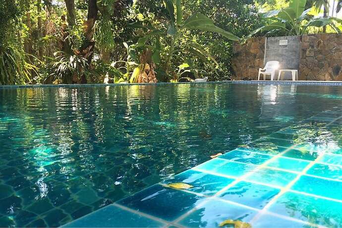 Imagen general del Hotel Fern House Retreat. Foto 9