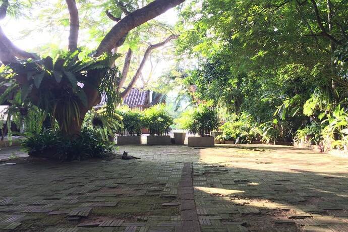 Imagen general del Hotel Fern House Retreat. Foto 17