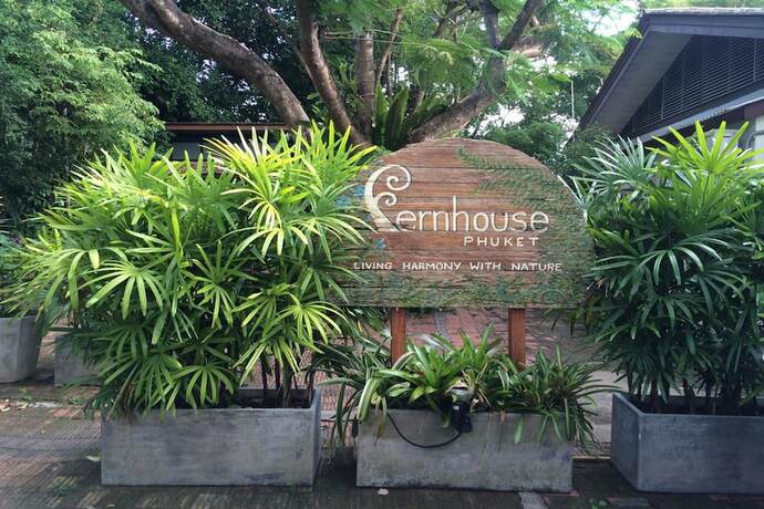 Imagen general del Hotel Fern House Retreat. Foto 1
