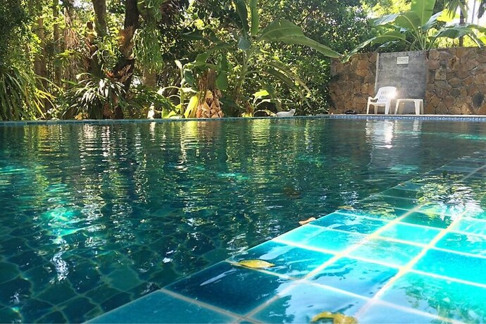 Imagen de la piscina del Hotel Fern House Retreat. Foto 38
